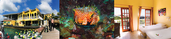 Bonaire diving trip 2017
