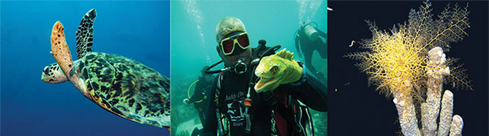 Bonaire diving trip 2017