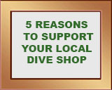 5 reasons to support your local dive shop